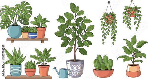 Indoor Houseplants and Hanging Plants Collection Featuring Monstera, Succulent, Cactus, and Decorative Potted Greenery for Home Decor and Botanical Design