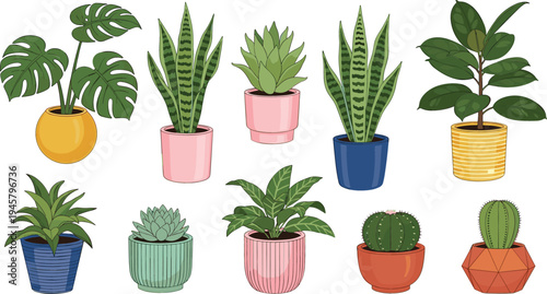Indoor Potted Houseplants Collection Featuring Monstera, Snake Plant, Succulent, and Cactus in Decorative Pots for Home Decor and Botanical Design