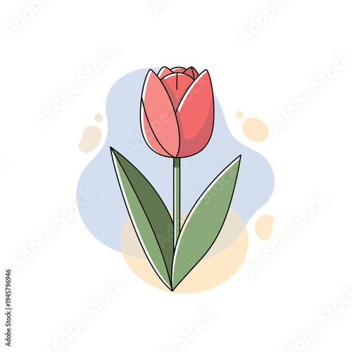 The spring equinox marks blooming flowers in a garden.