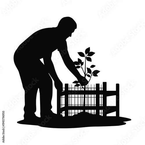 Gardener planting a small tree in a protective fence, silhouette, black and white, new growth