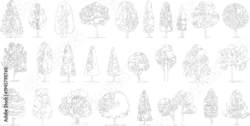 Collection of diverse tree outlines in black and white line style. Various shapes and sizes of deciduous and coniferous trees are depicted