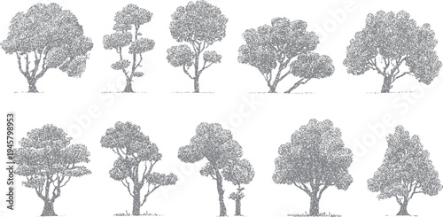 Ten grey stippled trees of various shapes and sizes on a white background nature plant flora