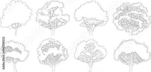 Eight grey line of trees with varying foliage density and branch structures nature plant