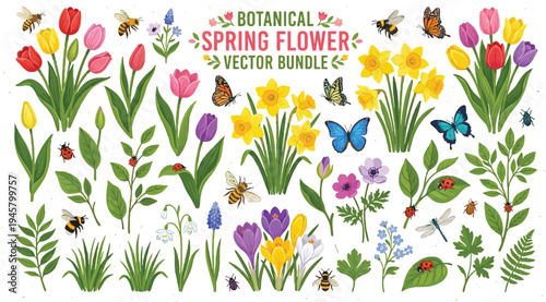 Botanical spring flower vector bundle with tulips daffodils crocuses and insects