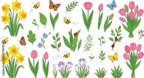 Spring flowers and insects collection including daffodils tulips crocuses bees monarch butterflies ladybugs green leaves isolated vector set