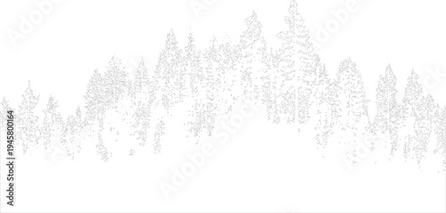 Line forest silhouette with pine trees and sparse foliage evergreen nature