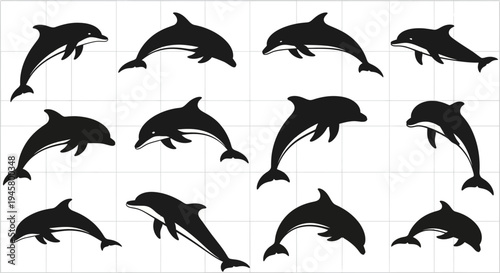 Black dolphin silhouettes jumping on white background with grid pattern marine life icons