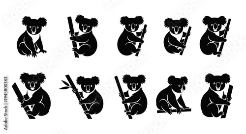 Photography Set of black koala silhouettes holding eucalyptus leaves on white background cut