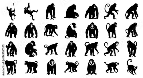 Collection of various monkey silhouettes in different poses on white background for design use