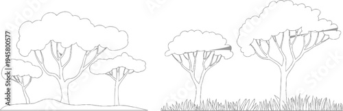 Stylized line of savanna trees with fluffy canopies and visible branches on a plain background and grassy ground