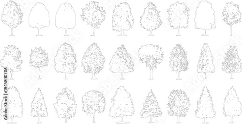 Collection of black and white line of various deciduous and coniferous trees outline