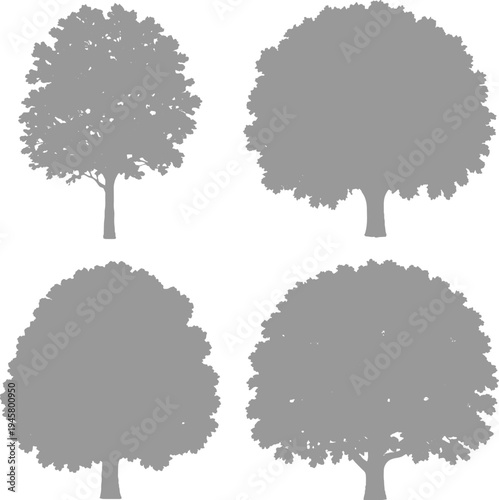 Four distinct grey tree silhouettes with varied canopy shapes and trunk structures against a white background