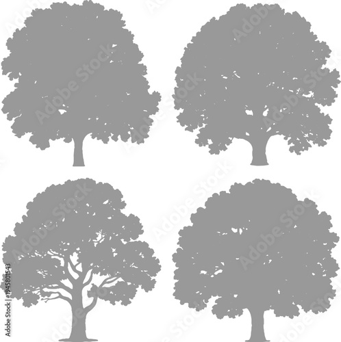 Four distinct grey silhouette deciduous trees with full canopies and visible trunks against a white background