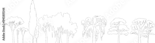 Diverse collection of stylized trees in a linear outline nature variety