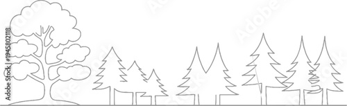A stylized line of a deciduous tree with rounded foliage and a cluster of evergreen trees on a white background