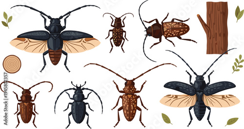 Longhorn Beetle Insect Collection with Various Wood Borer Bug Species, Detailed Entomology Vector Illustration Set with Tree Bark and Forest Elements