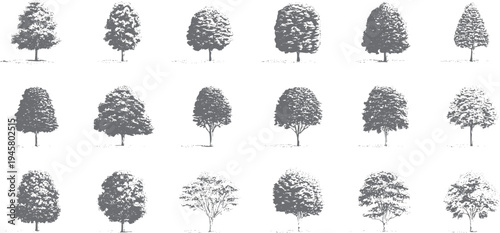 Collection of fifteen grey deciduous trees with varied foliage shapes and trunk structures on a white background