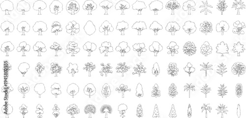 Collection of diverse stylized line trees and palm trees in rows palms foliage