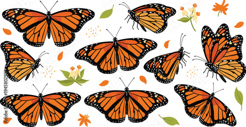 Monarch Butterfly Vector Set with Orange and Black Butterflies in Different Wing Positions with Flowers Leaves and Nature Elements