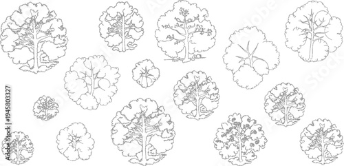 Collection of detailed line of various trees viewed from above in grey and white aerial outline