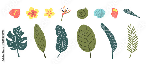 Tropical flower, palm tree leaf, seashell illustration isolated set. Summer holidays, vacations, resort. Jungle, rainforest plant. Seasonal design element. Flat clip art collection, hand drawn vector