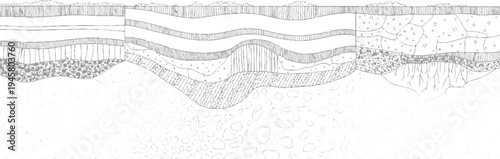 Cross section geological strata showing layers of soil rock and sediment with varied textures and formations