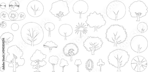 Collection of diverse outline of trees and foliage in various styles and sizes plant nature
