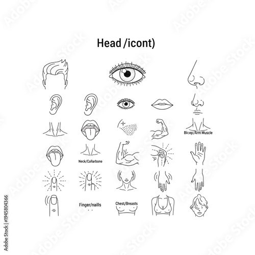 A collection of human body part illustrations