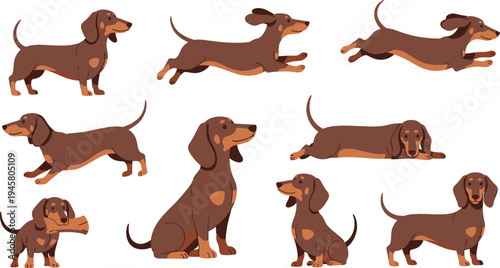 Dachshund Dog Cartoon Character Set with Cute Sausage Dog Poses Including Sitting, Running, Jumping, and Playing for Pet, Mascot, and Animal Designs