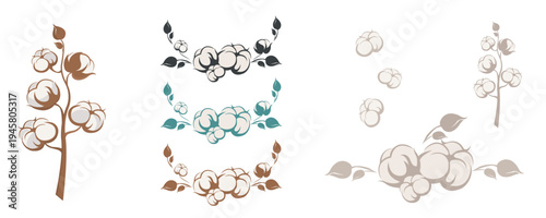 set of cotton elements, cotton flowers, cotton branches