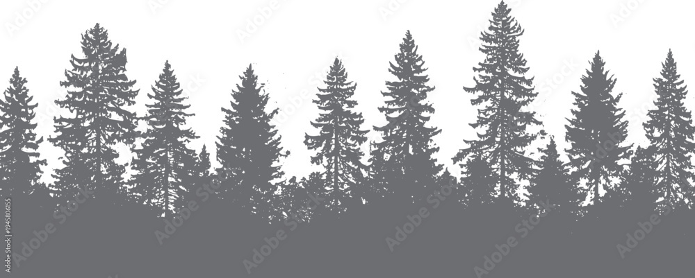 Fototapeta premium Evergreen forest silhouette with varied pine trees against a white background nature