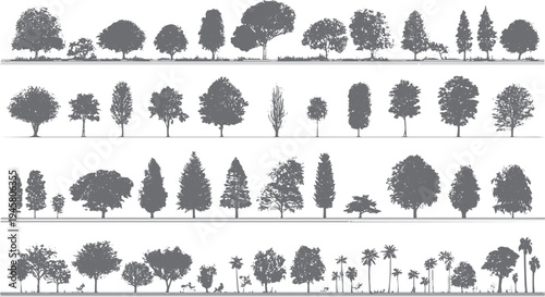 Collection of diverse tree silhouettes in grey tones. Diverse tree shapes and sizes are arranged in horizontal rows