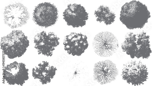 Fifteen grey down tree with varied foliage textures and branch patterns view aerial