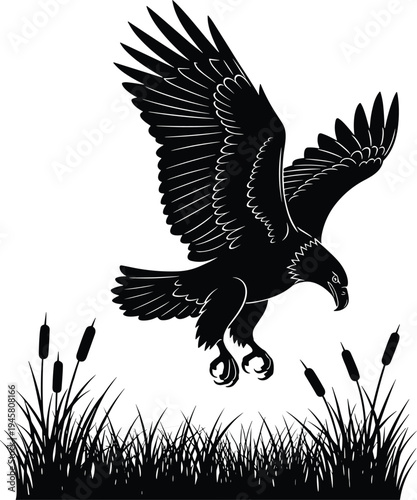 Flying eagle silhouette hunting over grassland, powerful bird of prey illustration, wildlife nature concept, black silhouette isolated background