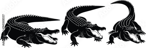 Set of Three Crocodile Silhouettes with Open Jaws in Black and White Vector Illustration for Wildlife Nature and Predator Design Concept