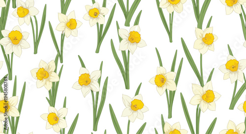 Bright and cheerful spring pattern with many white and yellow narcissus daffodil flowers on a white background.