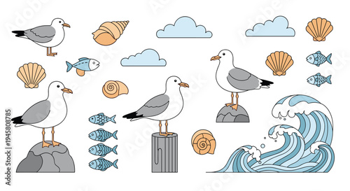 Nautical set with various seagulls perched on rocks and posts, ocean waves, sea shells, fish, and blue clouds.