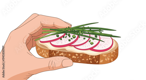Close up of a hand holding a healthy open sandwich topped with white cream radish slices and fresh green chives.