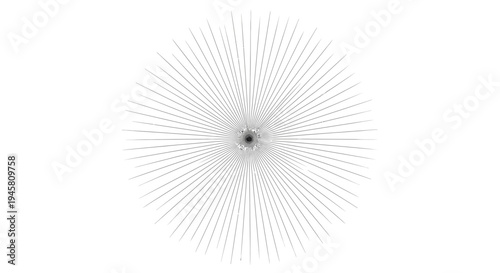 Black and white circular graphic design.