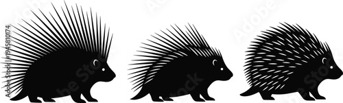 Set of Three Porcupine Silhouettes in Different Quill Styles Black and White Wild Animal Vector Illustration Isolated on White Background