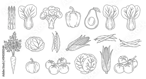 Comprehensive collection of various vegetables in detailed black and white line art including cabbage carrots and corn.