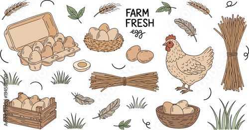 Farm fresh eggs collection with hen nests feathers straw and carton rustic agriculture vector illustration