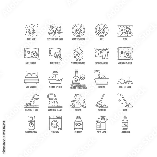 Dust mite removal and cleaning methods