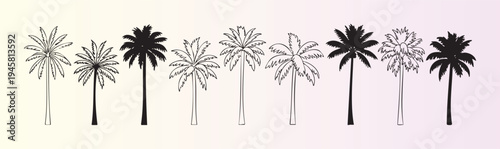 Collection of tropical palm tree silhouettes and line art illustrations