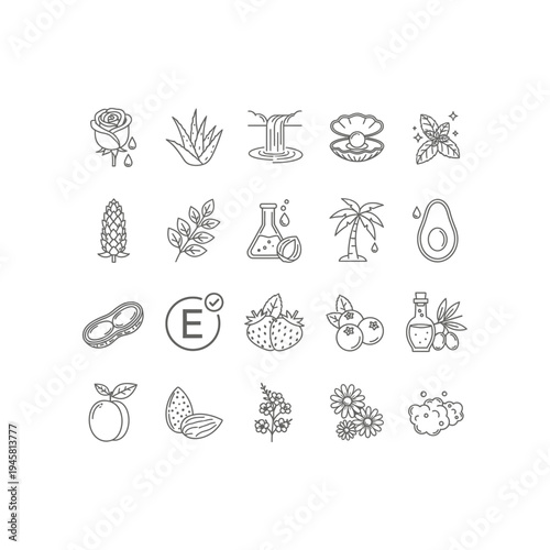 A collection of black and white icons of various natural objects