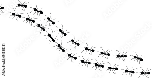 Black silhouette of a line of ants marching in a row for teamwork persistence nature and pest control concepts.