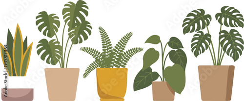 Collection of modern indoor houseplant illustrations in decorative ceramic pots for home office decor and interior design.