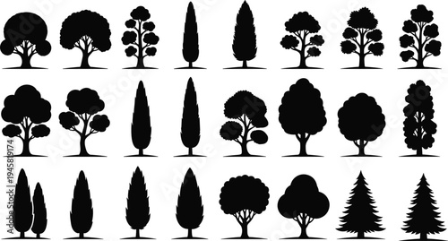 Collection of tree silhouettes isolated set including deciduous and conifer shapes for landscape design nature forest illustration elements