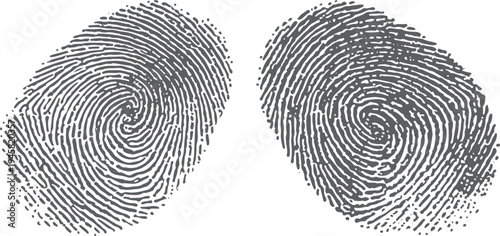 Two grey fingerprints with swirl patterns gray