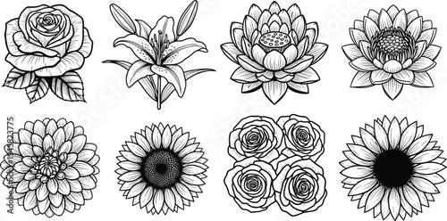 Hand drawn flower illustrations collection featuring rose, lily, lotus, sunflower and botanical floral elements for decorative design and nature concept
